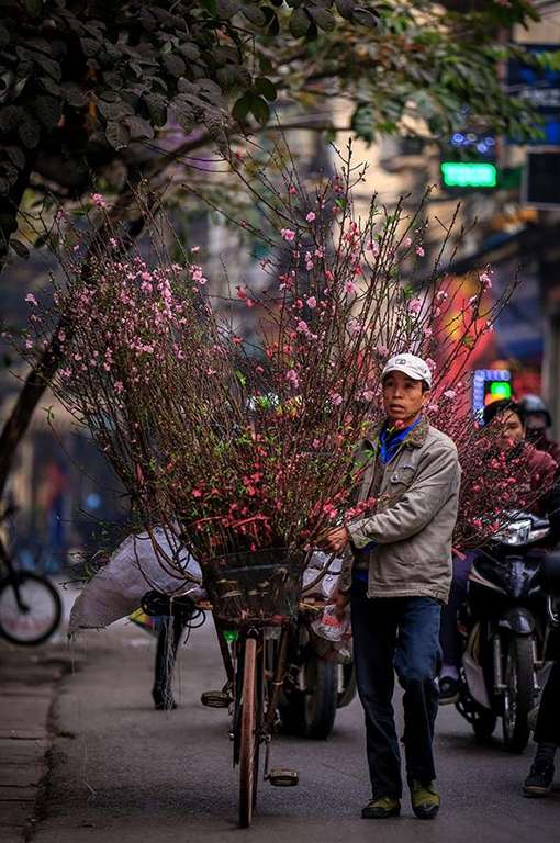 [spring flower market and festival before Tet holiday]