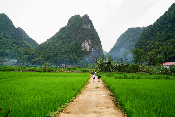Nord Vietnam hors des sentiers battus : Quoi de neuf aux chutes de Ban Gioc 