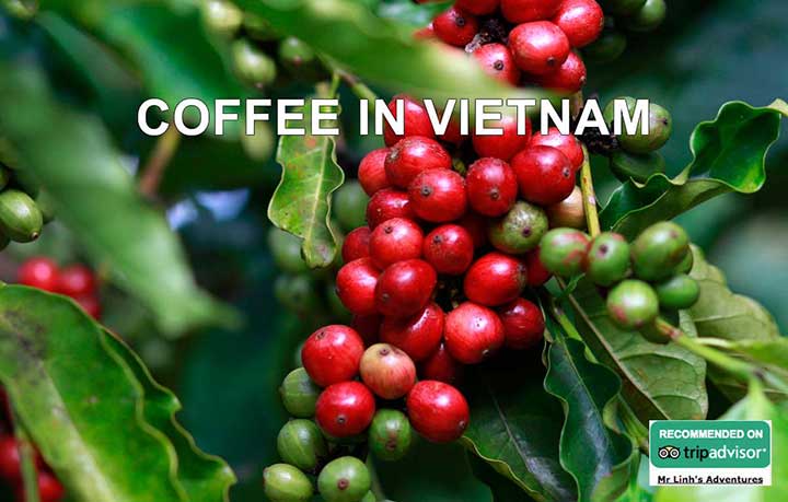 Le café au Vietnam