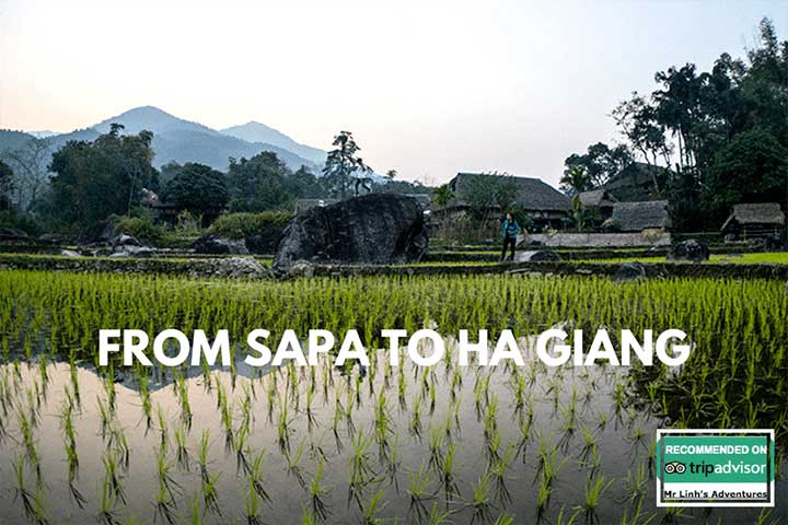 From Sapa to Ha Giang