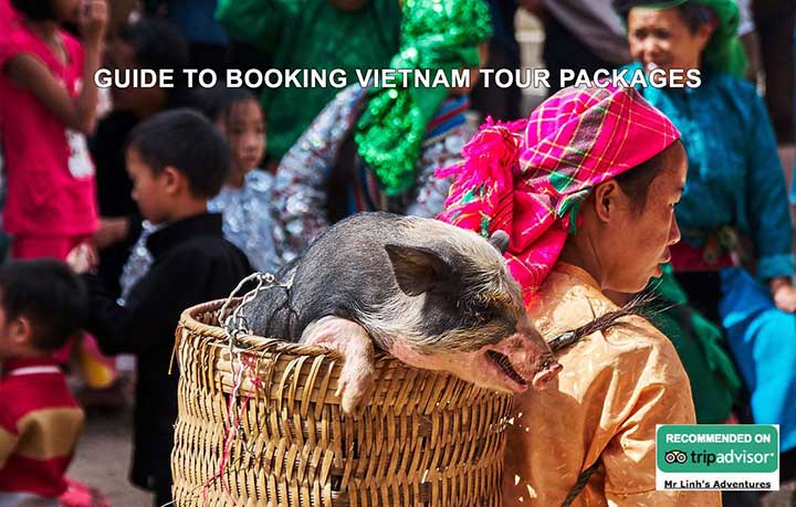 Guide de réservation les forfaits de voyage au Vietnam : Sûr de bien faire
