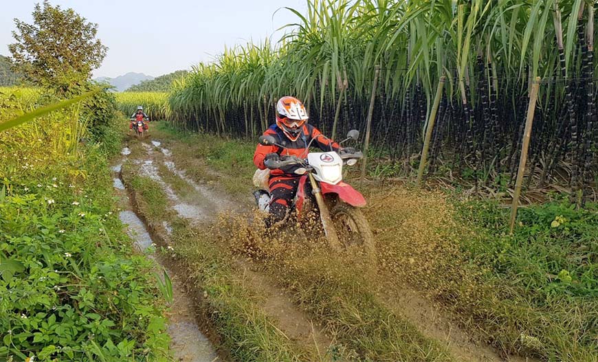 Motorbike tours