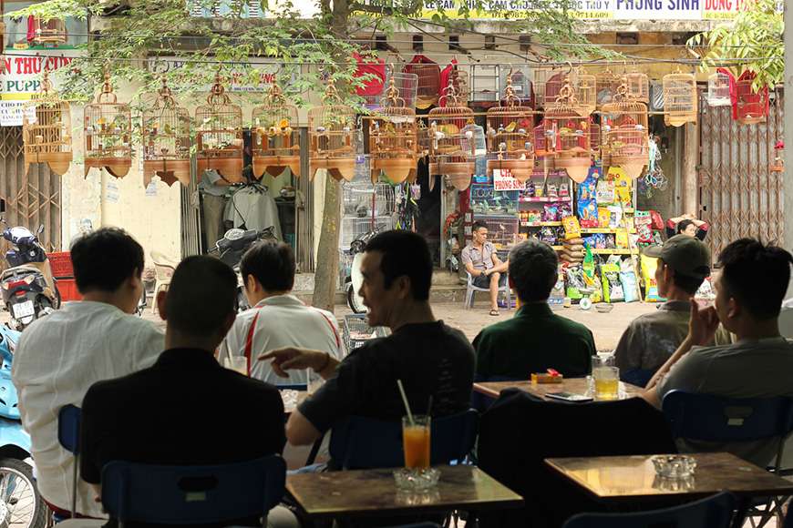 bird café in hanoi