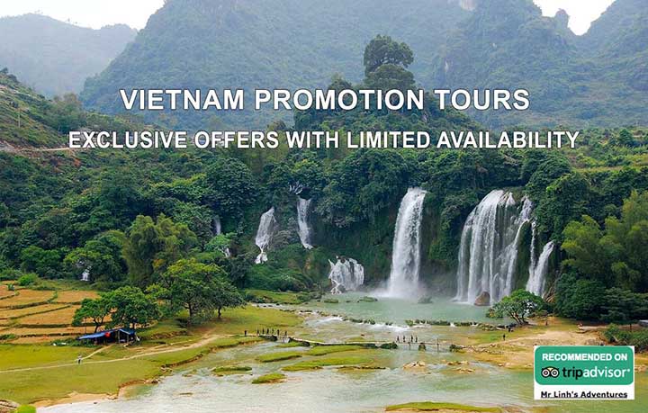 Vietnam promotion tours: exclusive offers with limited availability