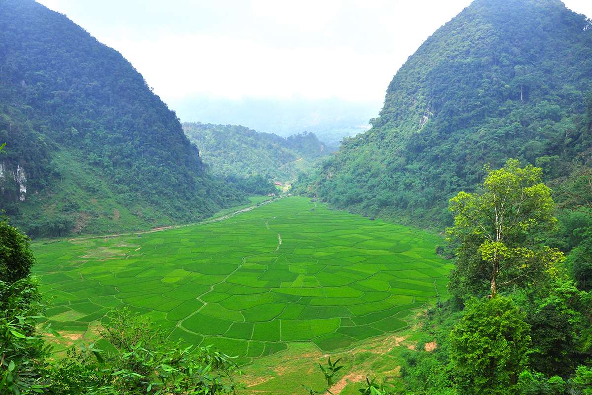 la réserve naturelle de Pu Luong, visite de Mai Chau, le nord du Vietnam