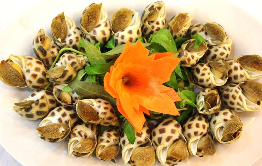 Oc Huong (snails), Mai fish salad. Mui Ne, Phan Thiet