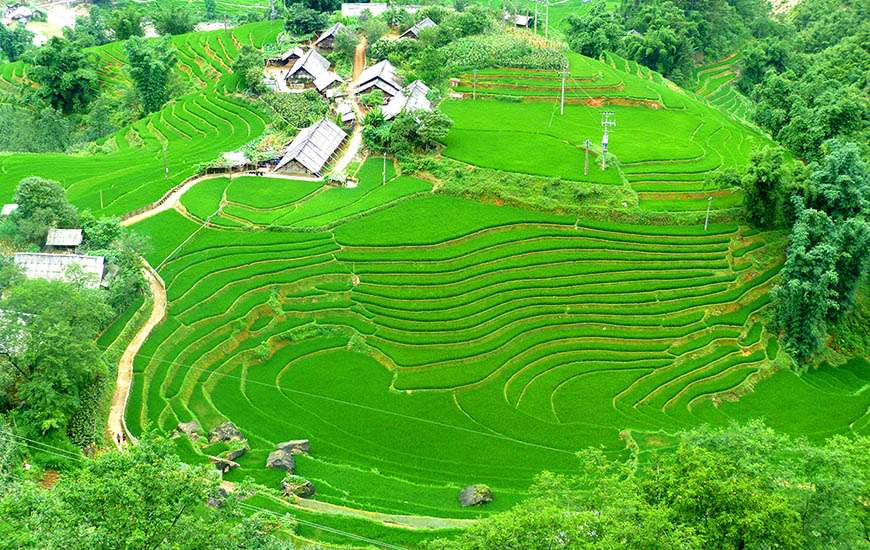 les rzières et les villages ethniques Sapa, visite de Sapa