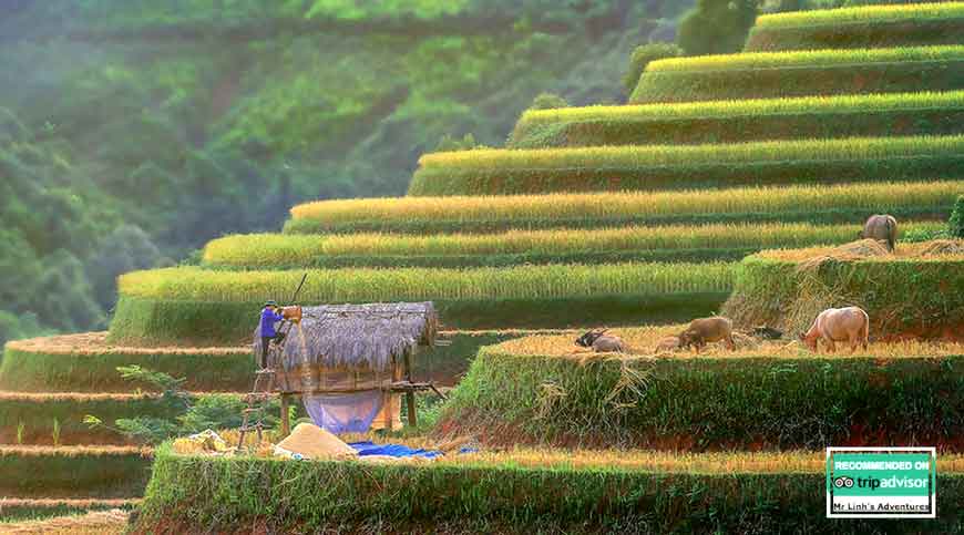  Landscapes of Vietnam 15 days 14 nights
