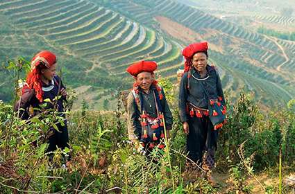 Red Dao ethnic people
