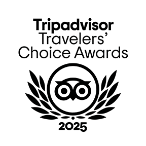 tripadvisor travelers
