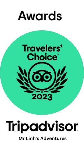 tripadvisor travelers
