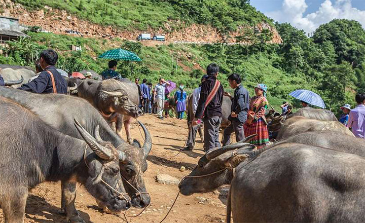 Les point forts à Bac Ha avec le guide de voyage