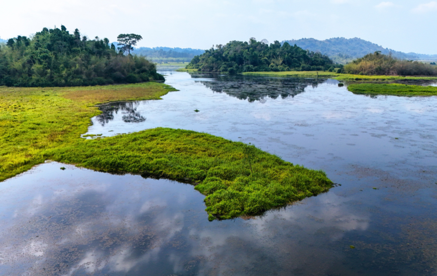 Parc National de Cat Tien