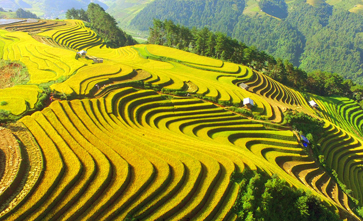 Les points forts à Mu Cang Chai avec le guide de voyage