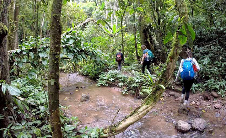 North-western Laos