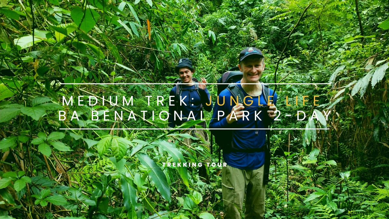 Jungle Life in Ba Be National Park