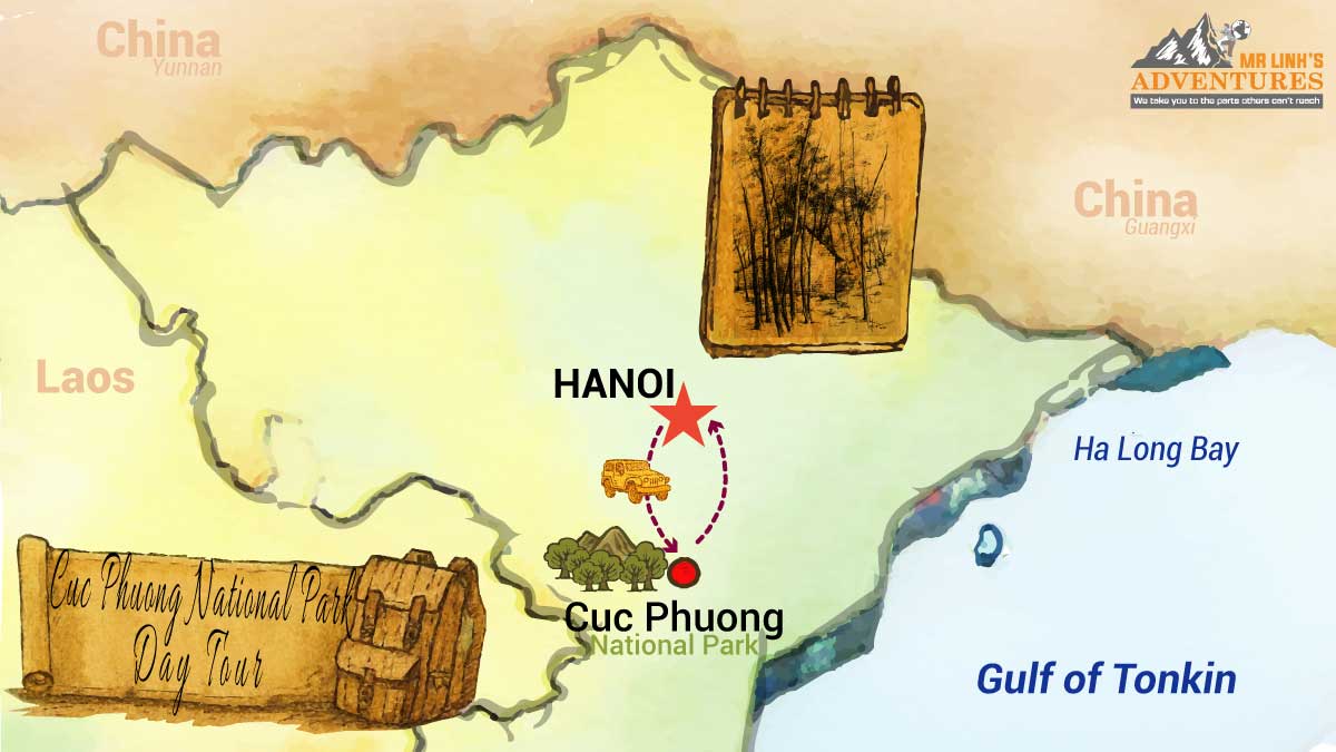 Cuc Phuong National Park Day Tour