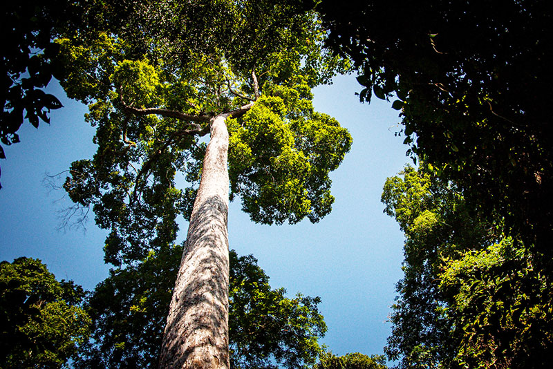 Pu Luong & Cuc Phuong Jungle Trails Trek 6 Days 5 Nights