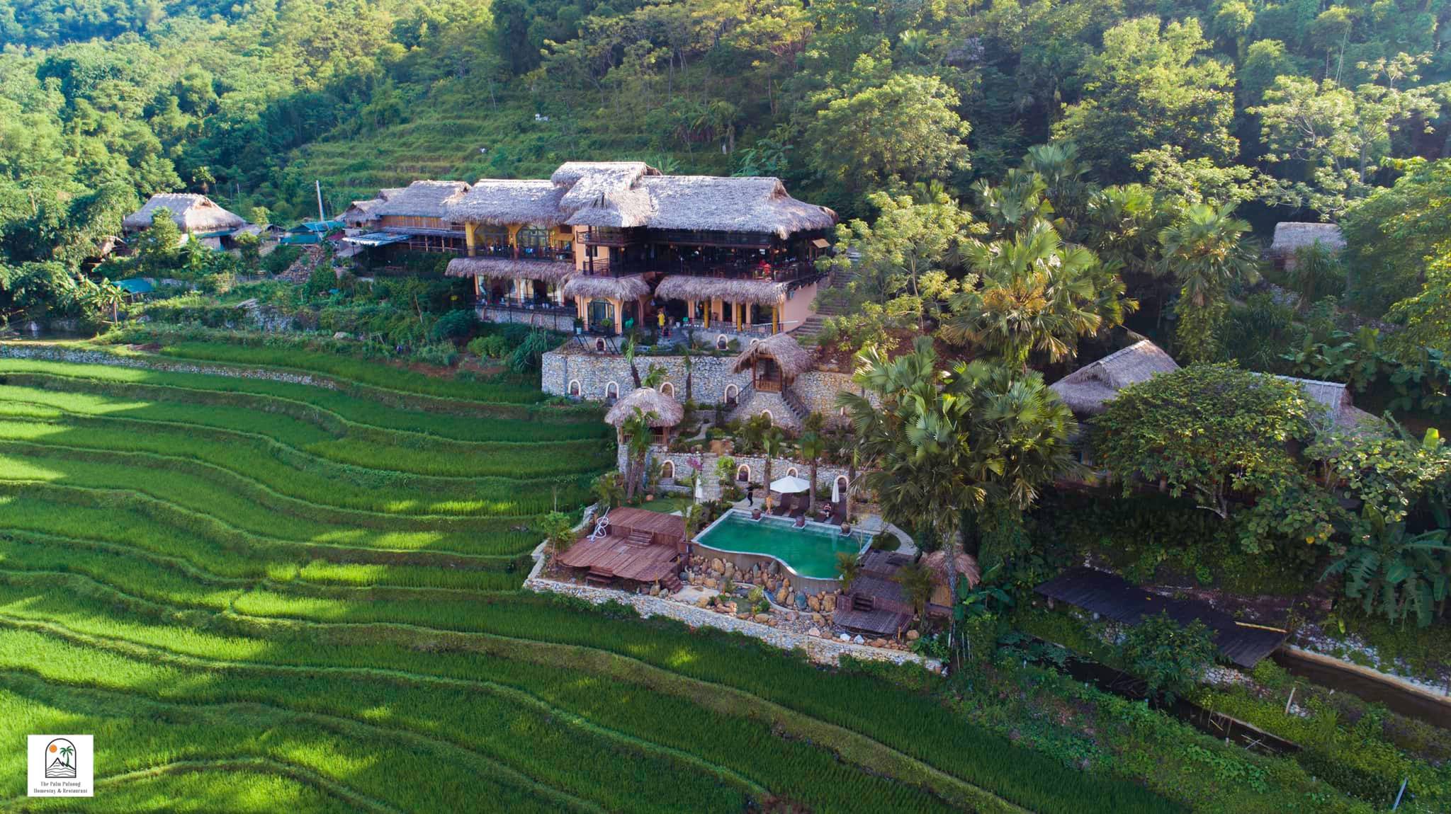 The Palm Puluong Homestay & Restaurant