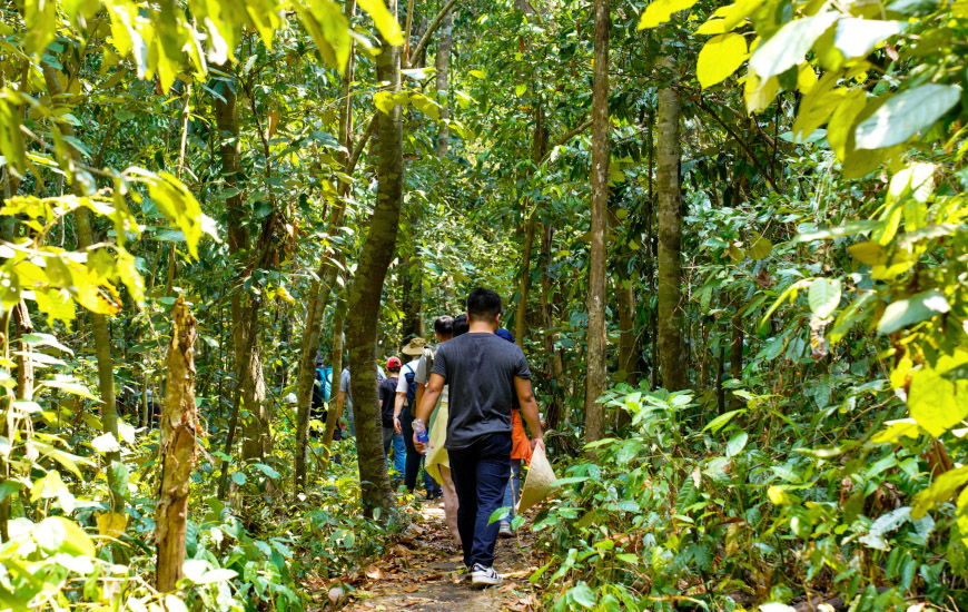 trekking