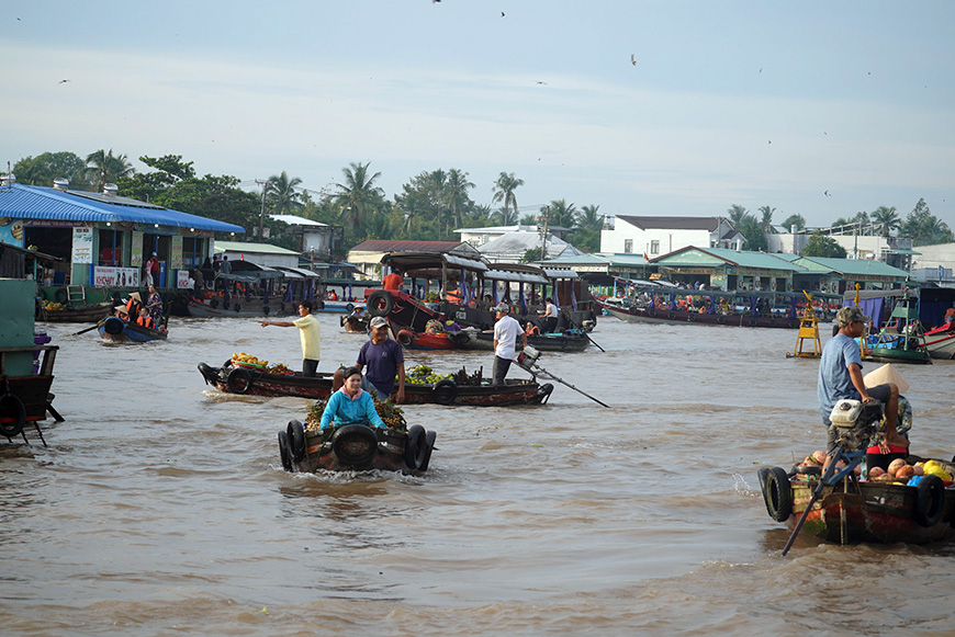 mekong-delta