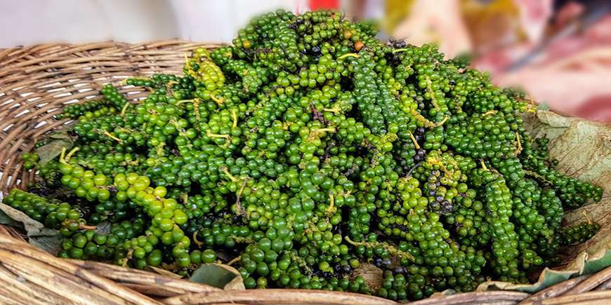 Pepper Hill in Kampot