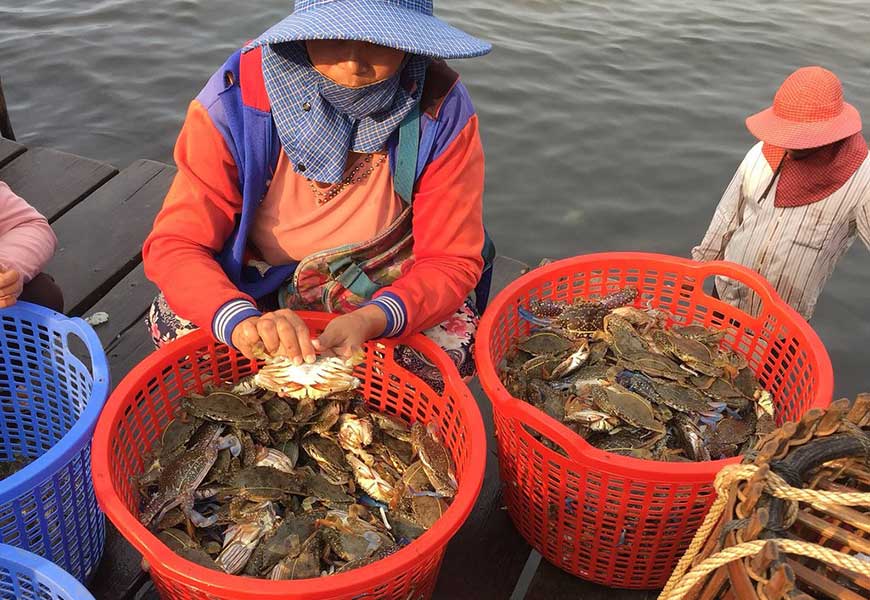 Crab Market