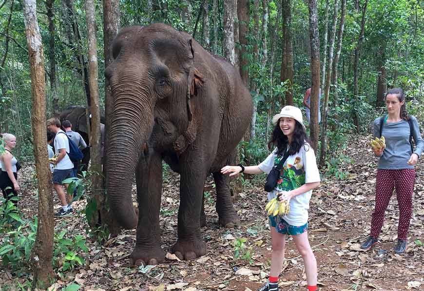 Mondulkiri Elephant and Wildlife Sanctuary