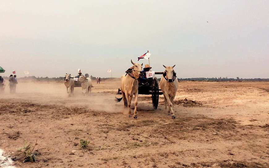 Festivals and Events in Cambodia