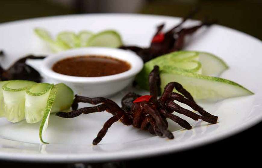 fried tarantula