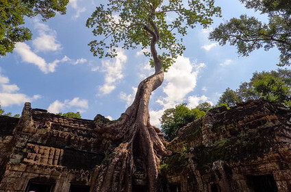 One day adventure to Hoa Lu - Tam Coc