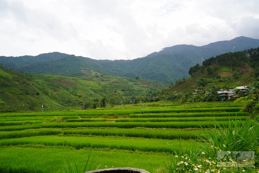 Nghia Lo to Mu Cang Chai Rice Terraces: Day 2 - The miracle of the ordinary