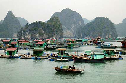 Oriental Sails Halong Bay