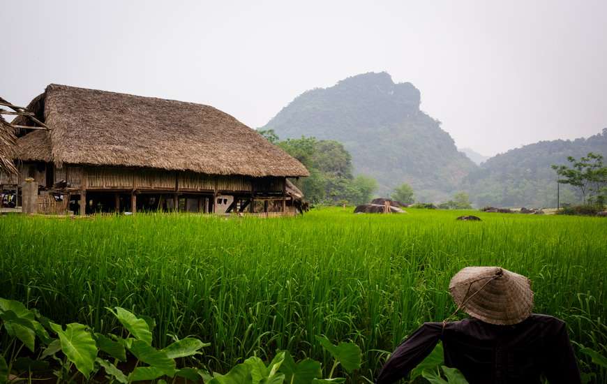 Mr Doan's Homestay