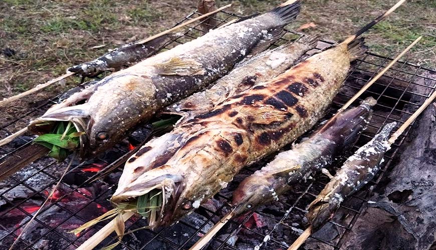 Grilled fish