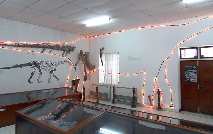 Musee Des Dinosaures