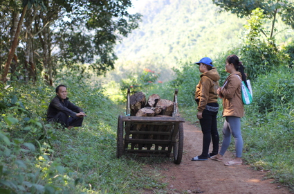 One day adventure to Hoa Lu - Tam Coc