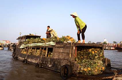 Ho Chi Minh City - Cai Be - Can Tho