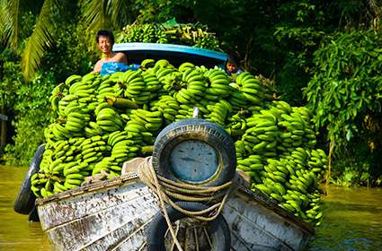 Mekong Delta Cruises