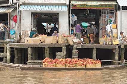 Mekong Delta Cruises