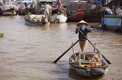 Mekong Delta Cruises