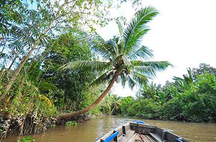 Mekong Delta Cruises