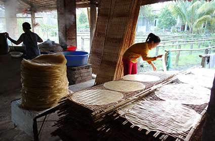 noodle producing family