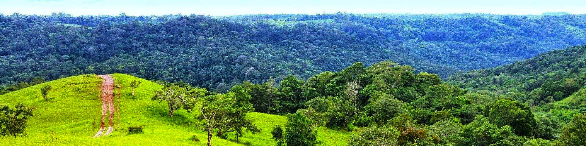 Mondulkiri Province Travel Guide