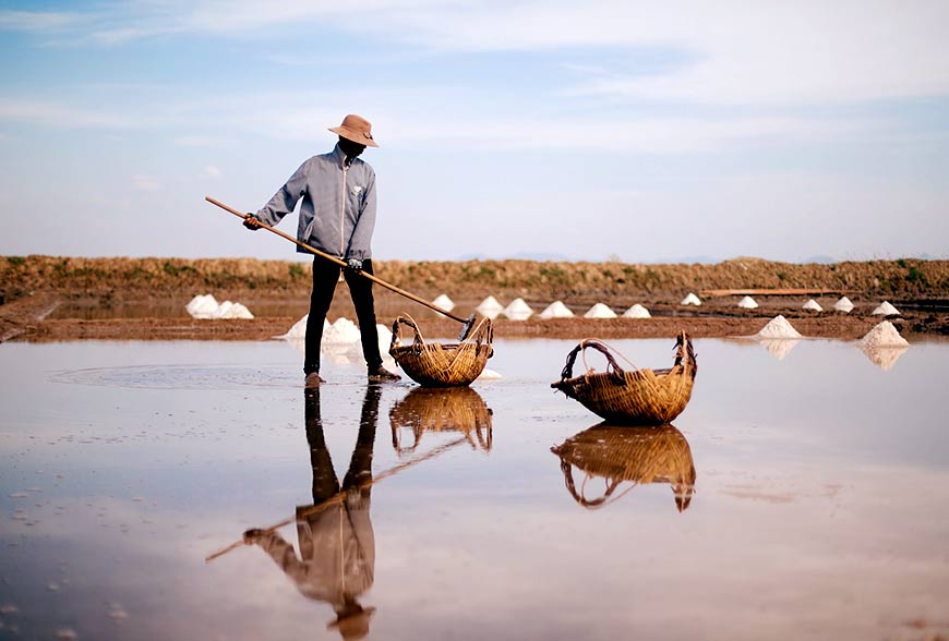 salt-fields