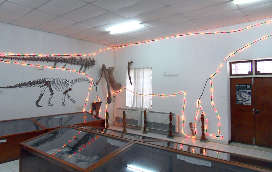 dino-museum