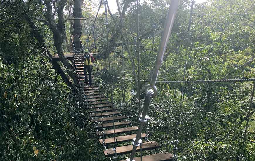 zipline