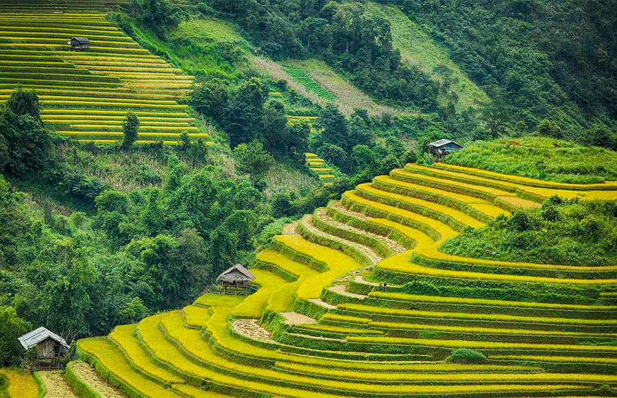 Green getaway Vietnam 6 days 5 nights