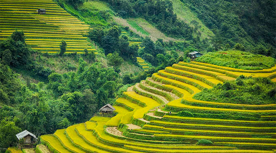 Escapade dans la nature du Vietnam 6 jours 5 nuits