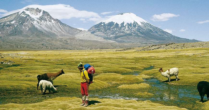 Le parc national Lauca